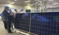 بازدید رئیس هیات عامل ایدرو از شرکت Redsolar